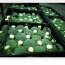 Bông cải xanh (súp lơ xanh) VietGAP